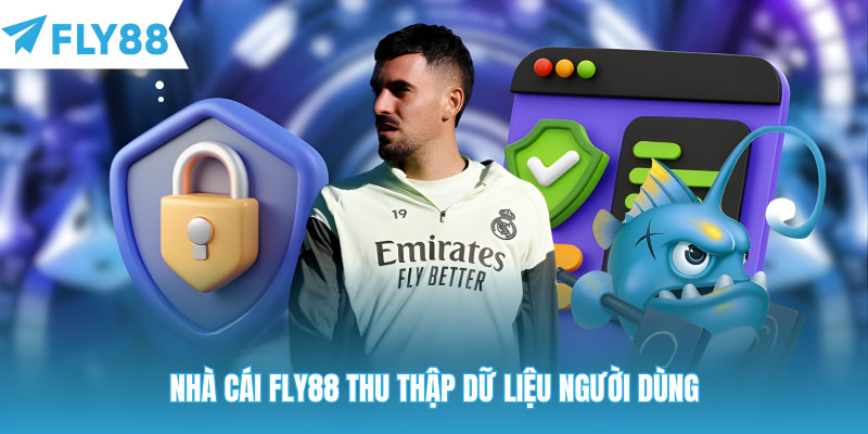 Nhà cái Fly88 thu thập dữ liệu